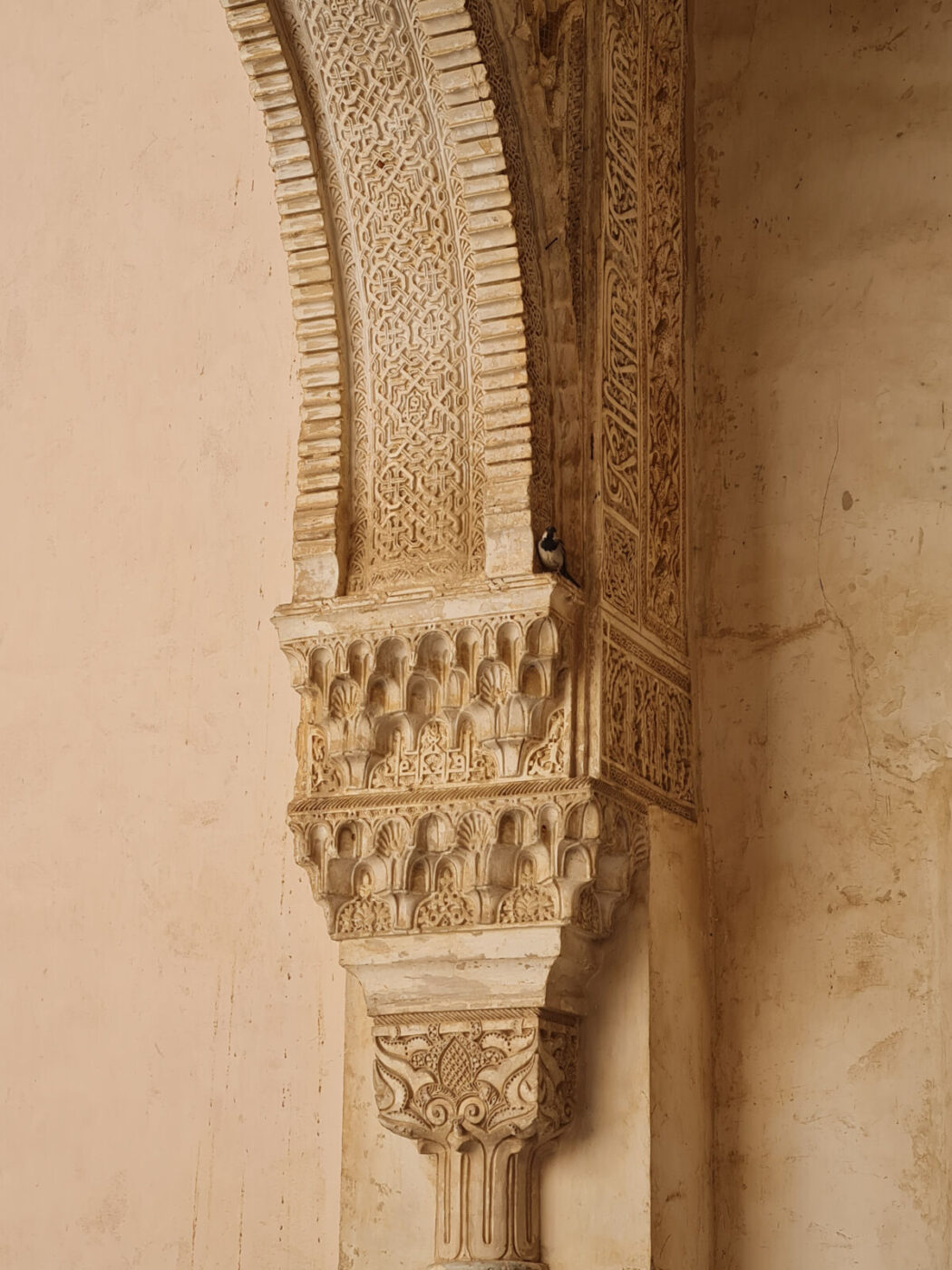 Visiting Andalucia